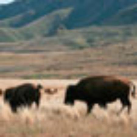 Caffe Slasticarna MB